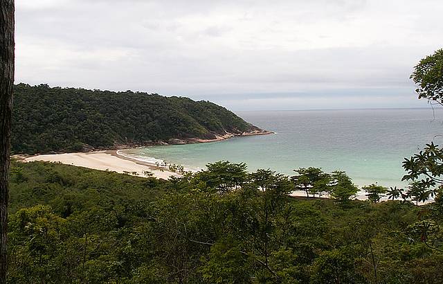 Martins de S vista da trilha