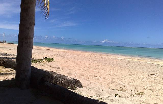 Mar baixa em ponta de Mangue