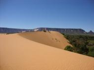 Dunas do Parque Estadual 