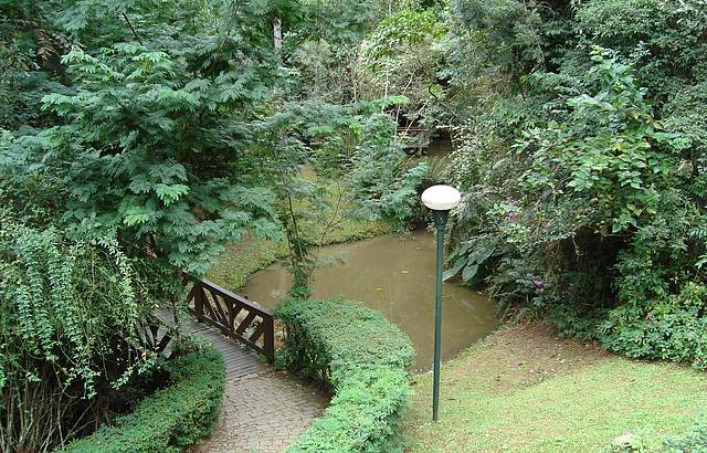 Jardim em frente a casinha