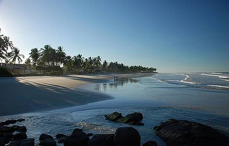 Coqueirais e muito sossego à beira-mar