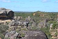 Cerrado e caatinga dividem a paisagem