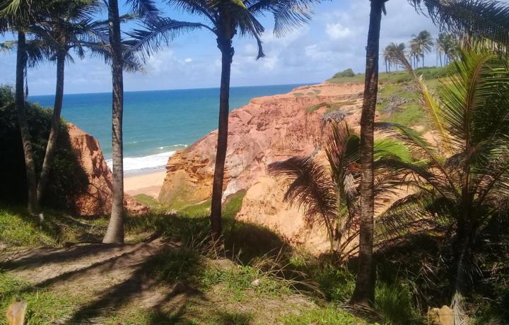 FALSIA E MAR, PRA DAR GUA NA BOA