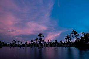 Lagoa das Araras: Um espetculo a cada entardecer<br>