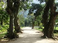 Interior do Parque J.Botnico