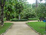 Interior do Parque J. Botânico
