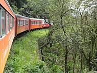 Passeio de trem Curitiba x Morretes