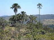 No deixe de conhecer a serra dos Pireneus e se encante com as veredas.