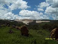 Admirando a paisagem desse paraso!