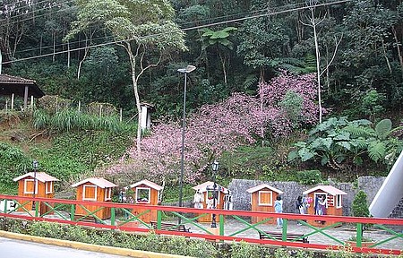 Feira de Artesanato - Lembrancinhas para a família