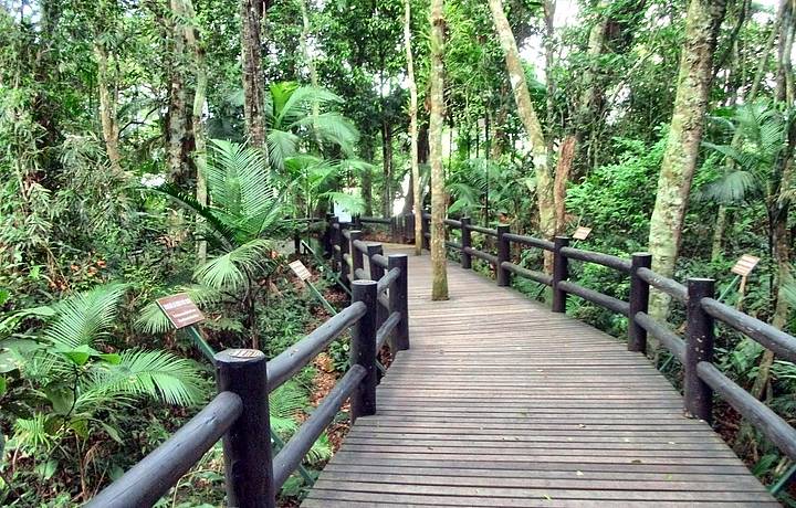 Parque Pau Brasil em Porto Seguro será privatizado por R$ 7,2 milhões, visitante pagará por tudo 8