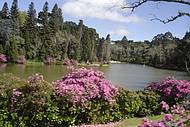 Manh de Primavera em Gramado.