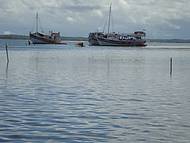 Barcos que nos levam ao Recife de Fora.