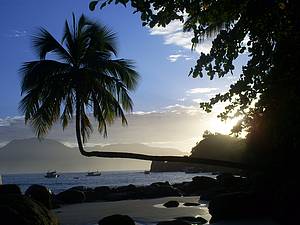 Praia do Aventureiro: Cenrio  pura perfeio!<br>