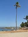 Bela vista da praia do Porto, com mar baixa