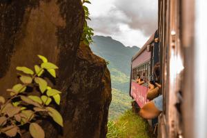 Passear de trem