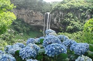 Parque da Ferradura