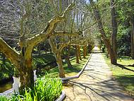 Uma bela tarde no parque.