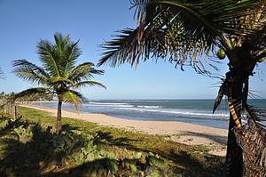 Praia de Guarajuba: Tranquilidade de sobra em meio aos coqueirais - 