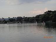 Lagoa do Taquaral