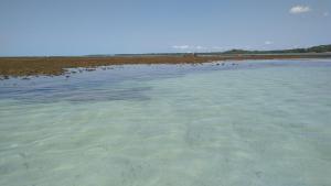 Piscinas naturais de Morer