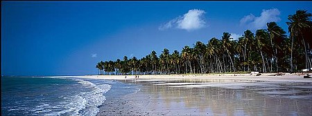 Tamandaré - Rústica e deserta, praia de Carneiros é uma das mais belas de Pernambuco