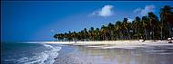 Rústica e deserta, praia de Carneiros é uma das mais belas de Pernambuco
