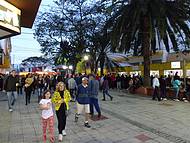 Festas de Agosto-Tradicionais Barracas de Pastis