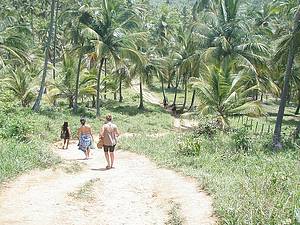 Fazer trilha rumo s praias