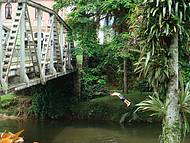 Garotos Nativos Pulam do Alto da Ponte e Mergulham no Rio...