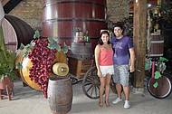 Museu da Uva e do vinho