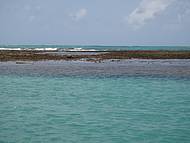 Nadar no meio dos Recifes de Corais com os peixes....