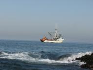 Barco pesqueiro ancorado prximo a ilha