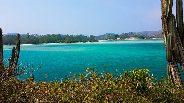 Ilha do Japonês