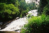 Linda Cachoeira