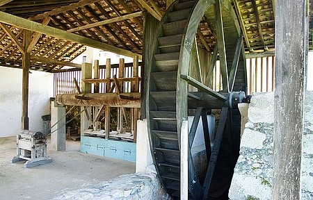 Fazenda Pau d'Alho preserva moinho e é aberta à visitação