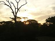 Espetacular pôr-do-sol no pantanal. 
