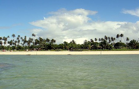 BEACH CLUB EM MILAGRES, ALAGOAS: Praia do Toque e Porto da Rua! - Viajante  Comum