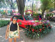 Carro das Flores