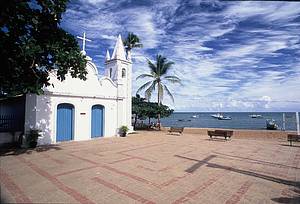 Praia do Forte: Bucolismo  beira mar<br>