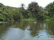 Lagoa de Itacimirim
