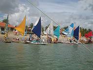 Jangadas ao Mar em Porto de Galinhas