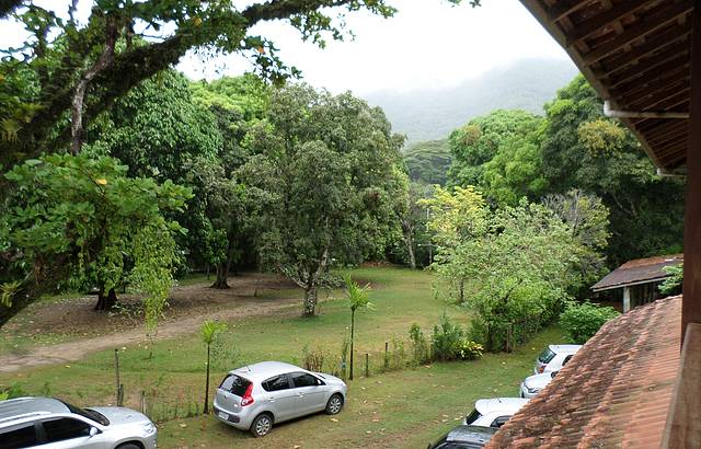 Vista da sacada! Muito verde!