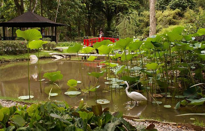 Jardim Japons  uma das atraes