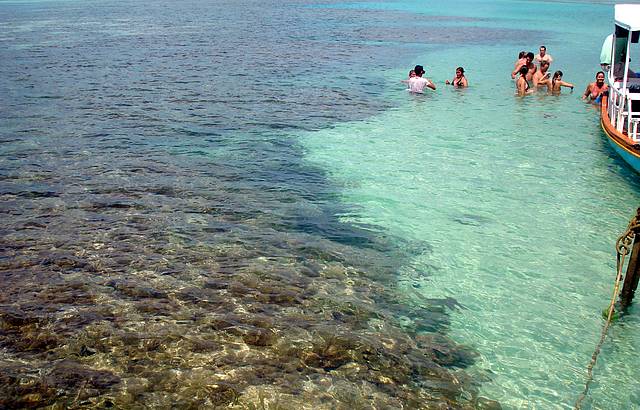 Piscinas Naturais - Paripueira! Que gua!