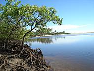 Entre o mangue e o rio Carava