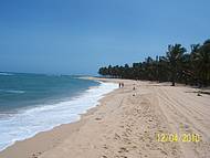 As praias e os coqueiros