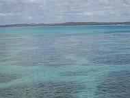 Passeio a Maragogi, vista das piscinas  de corais
