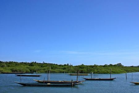Passeios de barco partem da praia e levam aos manguezais