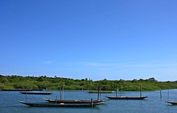 Passeios de barco partem da praia e levam aos manguezais